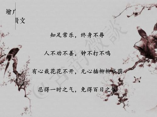 经典报价