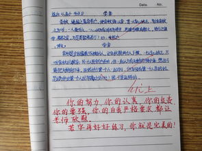 英语老师的评论