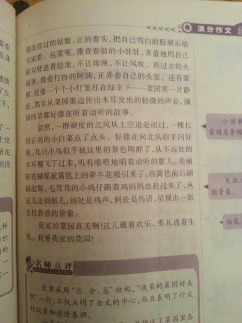 初中优秀文章摘录