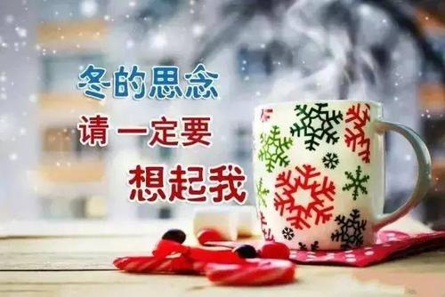 冷问候文字