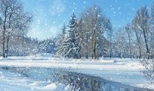 描写雪花的优美句子精选