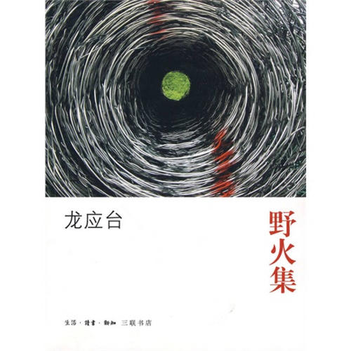 对龙应台“野火收藏”的思考