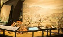 趁现在没死,赶紧去做想做的事吧