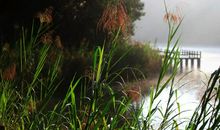 经典励志故事4：信念是一粒种子