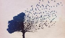 能读懂这些, 都是有故事的人