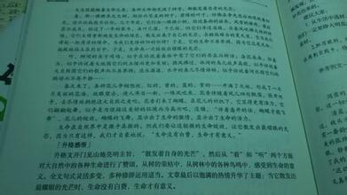50个单词的节选