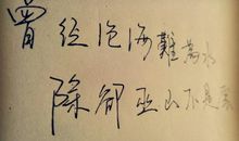 关于回忆的美句