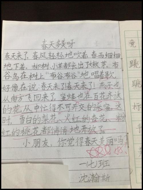 撰写游戏作品：“抓住”报纸