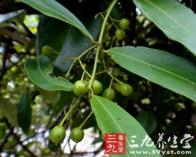 韩少功：方腾