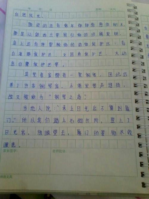 每周日记300字