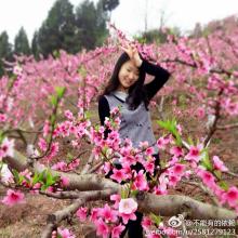 如果您被残酷的命运选中会怎样？