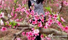 假如你被残酷的命运选中,你会怎么样?