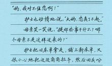 初中美文摘抄500