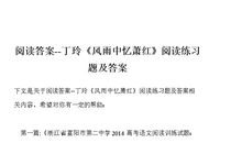 丁玲：风雨中忆萧红