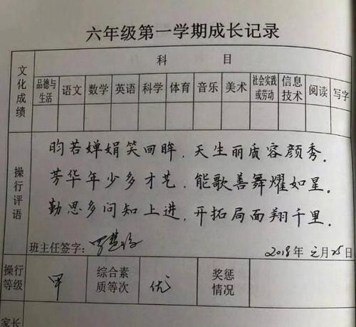 小学生的最后评论集