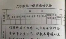 小学生期末评语集锦