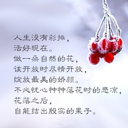 哲学句子