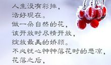 含哲理的句子