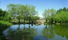 绿树阴浓夏日长全诗