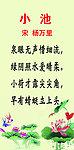 古诗小池的意思