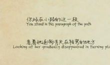 龙应台：给我一个中国娃娃