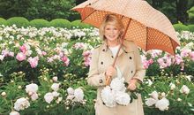 从家庭主妇到保险女王