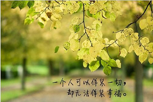 美丽的爱情诗