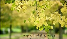 优美爱情唯美诗句