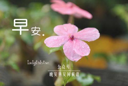 短信问候