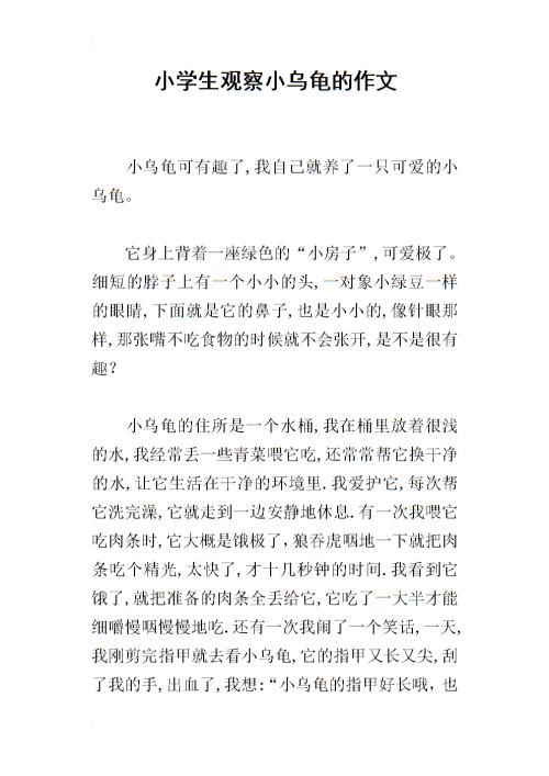 小乌龟组成