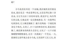 小乌龟作文