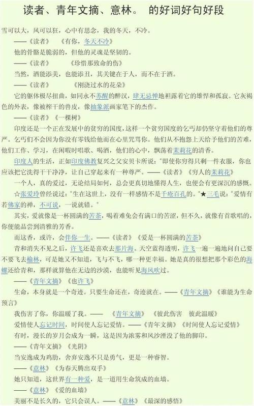 初中作文的好单词和句子