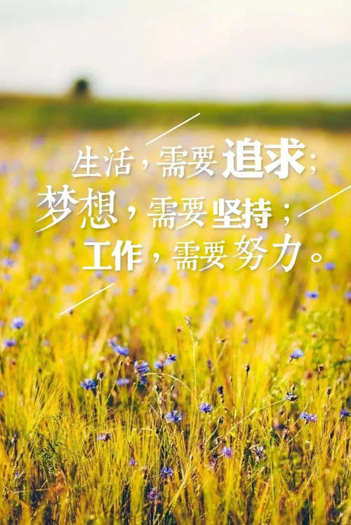 一生的励志名言