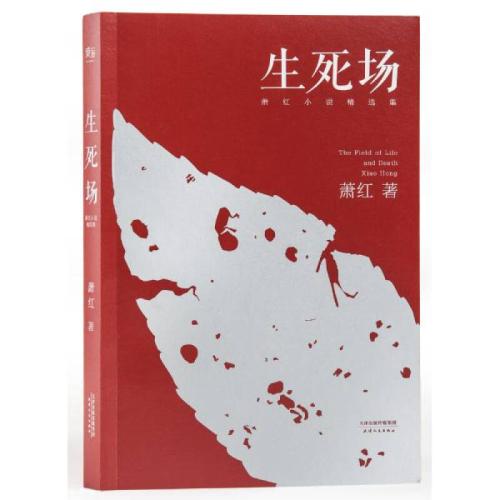 肖宏：十三天
