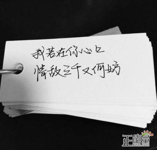 坦白语言