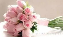 经典语录：强大的不是能征服什么，而是能承受什么