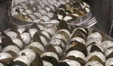 林海音：卖冻儿