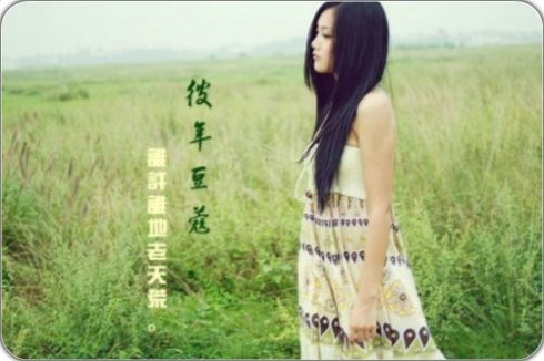 经典语录：爱总是成千上万次