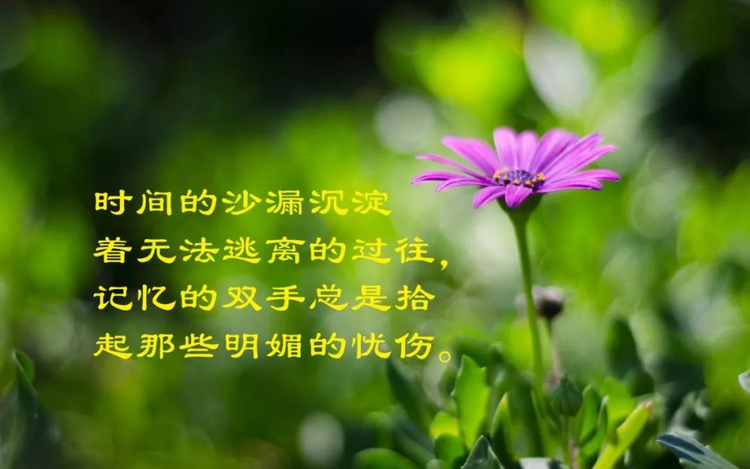 早安句子