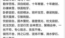 有关学习认真的成语