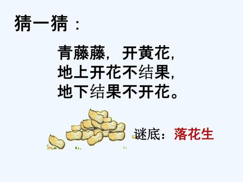 徐迪山：沐