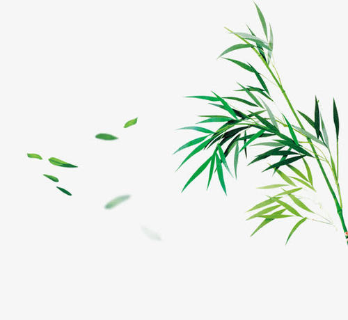 与竹有关的成语