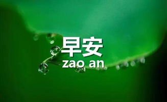 早安心语：生活，不怕困难，只怕麻木