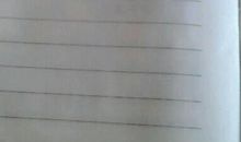 变色龙读后感600字