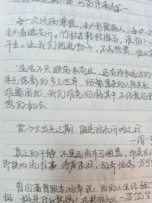 优秀论文摘录