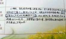 小学班主任学期末评语精选