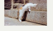 人生总会有办法的