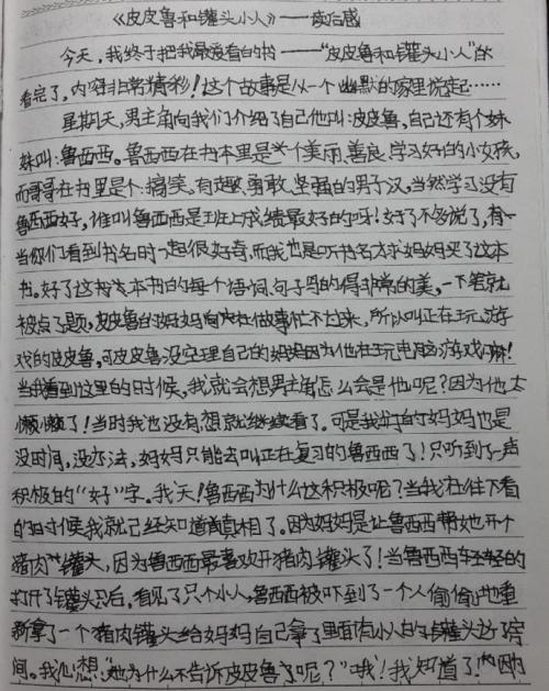 关于阅读“ Pipiru”的思考