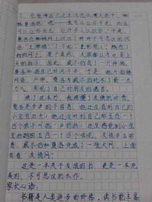 夏洛特在网上阅读后的400个单词
