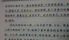 优美段落摘抄加赏析